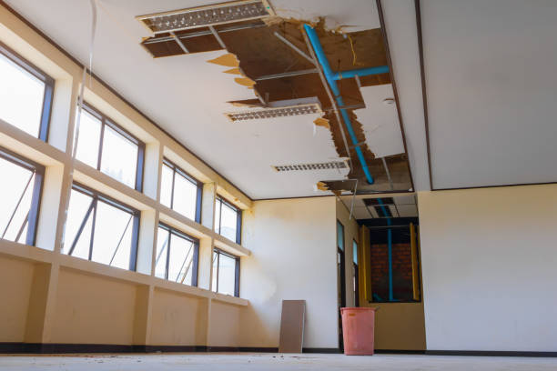 Best Carpet water damage restoration  in Fairmont, IL