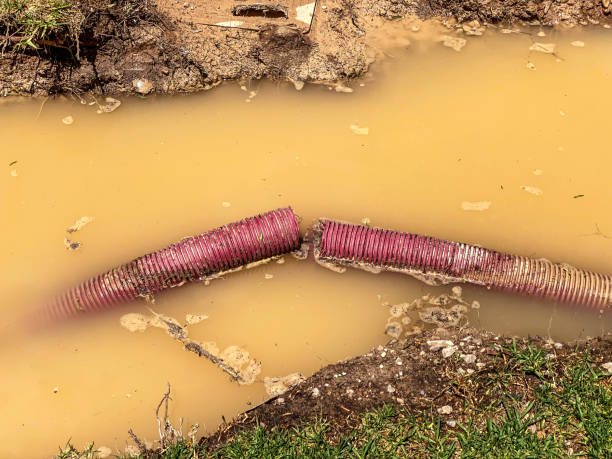 Best Emergency water damage restoration  in Fairmont, IL